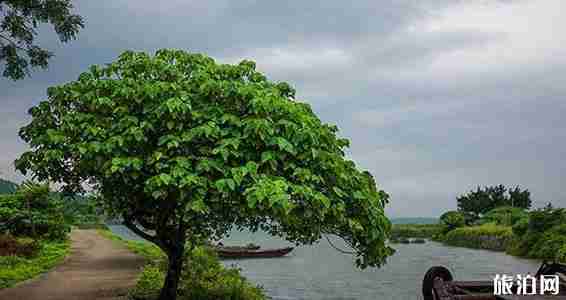廣東海島旅游景點介紹+美食攻略