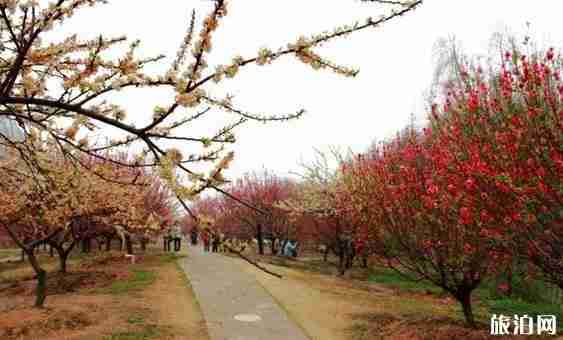 廣東一家人旅游去哪里 適合一家人旅游的景點介紹