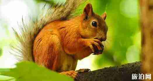 廣東一家人旅游去哪里 適合一家人旅游的景點介紹