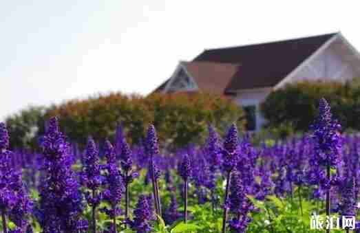 廣東一家人旅游去哪里 適合一家人旅游的景點介紹