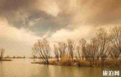高郵湖在哪 高郵湖旅游景點介紹 高郵湖在哪 高郵湖旅游景點介紹