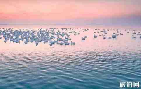 高郵湖在哪 高郵湖旅游景點介紹 高郵湖在哪 高郵湖旅游景點介紹