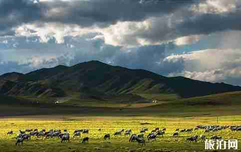 甘南自駕游最佳線路是哪個 甘南自駕游最全線路推薦 甘南自駕游最佳線路是哪個 甘南自駕游最全線路推薦