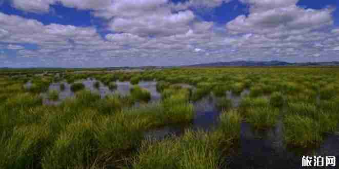 甘南自駕游最佳線路是哪個 甘南自駕游最全線路推薦 甘南自駕游最佳線路是哪個 甘南自駕游最全線路推薦