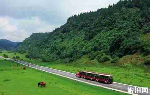 一家人自驾游去哪里 适合带家人自驾的乡村公路推荐