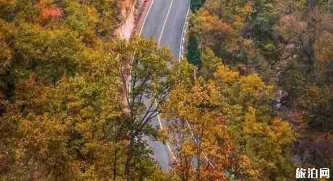 一家人自驾游去哪里 适合带家人自驾的乡村公路推荐