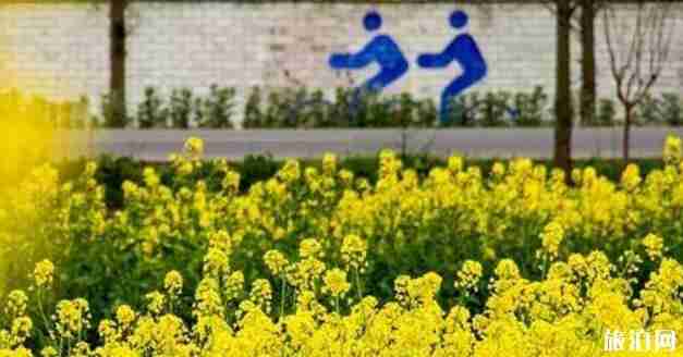 一家人自驾游去哪里 适合带家人自驾的乡村公路推荐