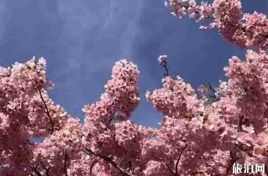 手機修圖技巧推薦 手機修圖基礎(chǔ)教程