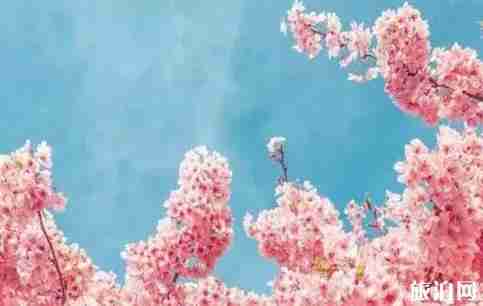 手機修圖技巧推薦 手機修圖基礎(chǔ)教程