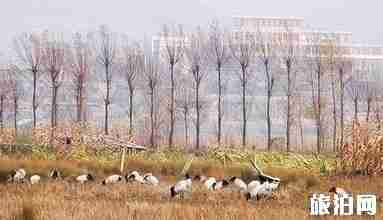 貴州景點排名大全 貴州必去景點介紹 貴州景點排名大全 貴州必去景點介紹