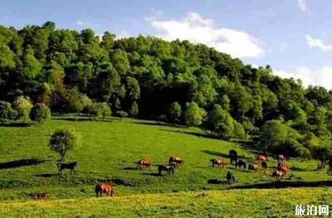 西安周边避暑好去处推荐2018