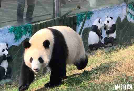 贵阳森林野生动物园的门票是多少 门票+交通信息