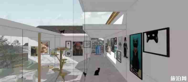 天猫小镇在哪个位置 天猫小镇旅游介绍 天猫小镇在哪个位置 天猫小镇旅游介绍