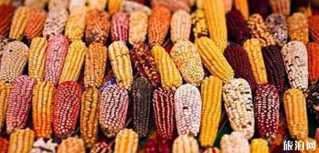 秘鲁有哪些美食 秘鲁美食介绍 秘鲁有哪些美食 秘鲁美食介绍