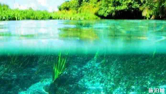 巴西城市排名 巴西旅游城市介绍