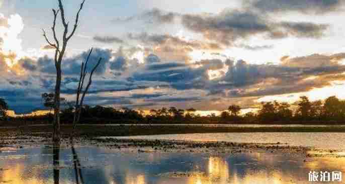 巴西旅游景点介绍 巴西旅游景点排名 巴西旅游景点介绍 巴西旅游景点排名