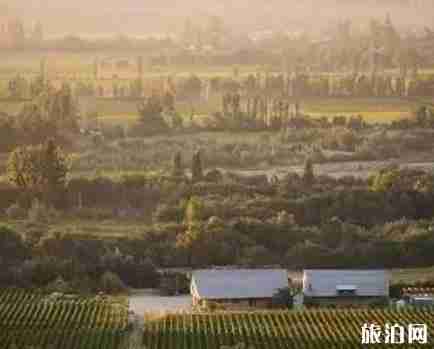 智利最出名的酒庄是哪个 智利酒庄排名 智利最出名的酒庄是哪个 智利酒庄排名