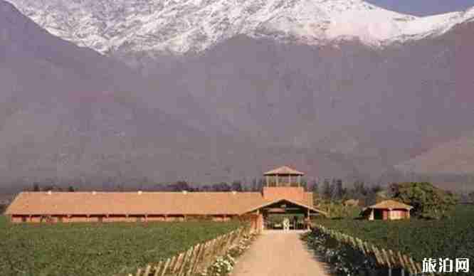 智利最出名的酒庄是哪个 智利酒庄排名 智利最出名的酒庄是哪个 智利酒庄排名