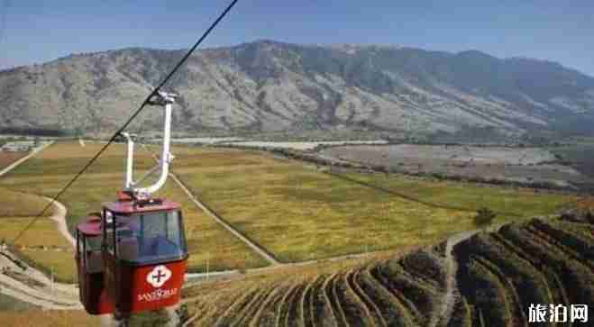 智利最出名的酒庄是哪个 智利酒庄排名 智利最出名的酒庄是哪个 智利酒庄排名