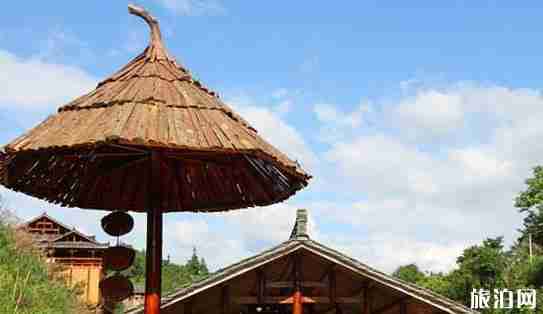 乌羊麻苗寨蓝莓怎么样 乌羊麻苗寨蓝莓怎么样