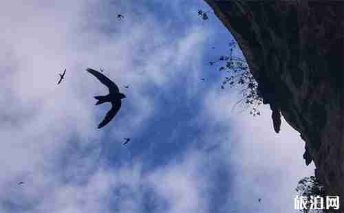 格凸河门票多少 门票+交通指南 格凸河门票多少 门票+交通指南