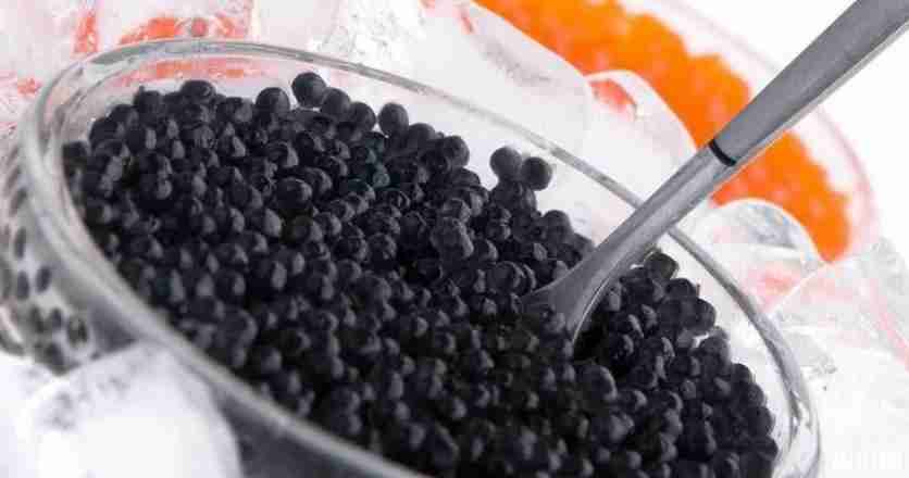 白俄罗斯美食有哪些 白俄罗斯美食介绍