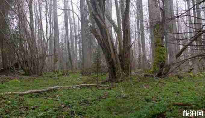 拉脱维亚旅游除了美女还有什么 拉脱维亚旅游景点介绍