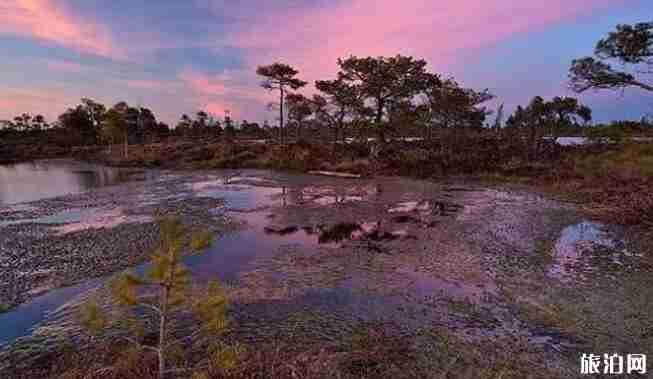 拉脱维亚旅游除了美女还有什么 拉脱维亚旅游景点介绍