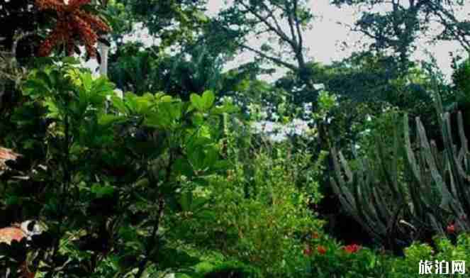 加纳旅游景点有哪些 加纳旅游景点介绍