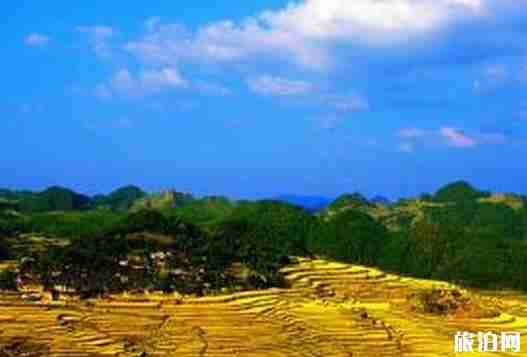 高要梯田怎么样 高要梯田景点介绍