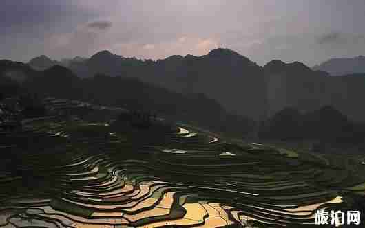 高要梯田怎么样 高要梯田景点介绍