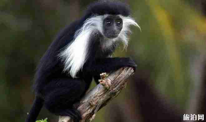 加纳旅游景点有哪些 加纳旅游景点介绍