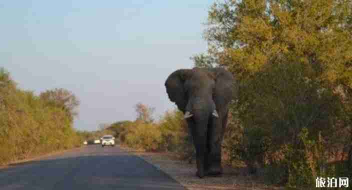 莫桑比克旅游景点介绍 莫桑比克旅游景点介绍