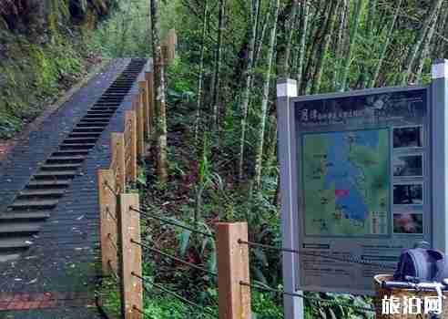 日月潭在哪 日月潭景点介绍 日月潭在哪 日月潭景点介绍