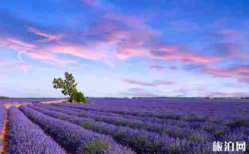 欧洲浪漫的地方有哪些 欧洲浪漫的地点介绍 欧洲浪漫的地方有哪些 欧洲浪漫的地点介绍