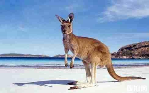 澳大利亚与加拿大哪个国家更适合居住