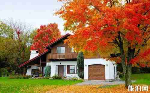 澳大利亚与加拿大哪个国家更适合居住