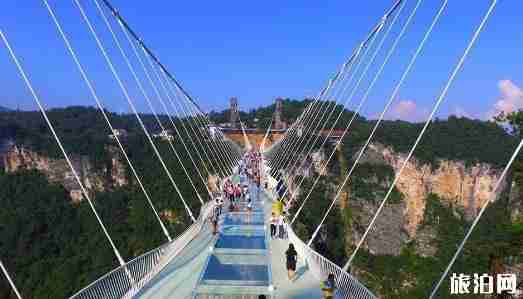 張家界大峽谷玻璃橋門票價格2018+優惠政策