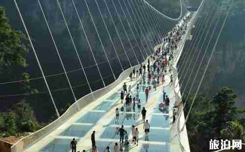 張家界大峽谷玻璃橋門票價格2018+優惠政策