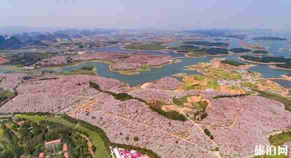 貴州湖泊排名 貴州最美湖泊介紹