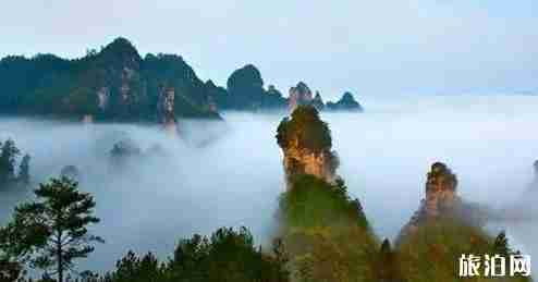 美國宜居城市排名2018 美國宜居城市排名2018