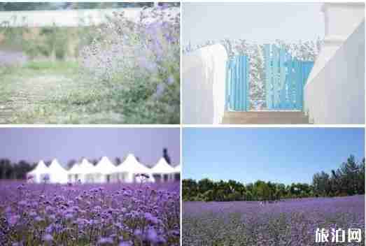 北京有哪些適合拍古裝的地方