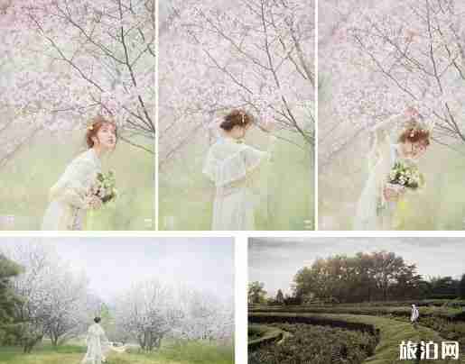 北京有哪些適合拍古裝的地方