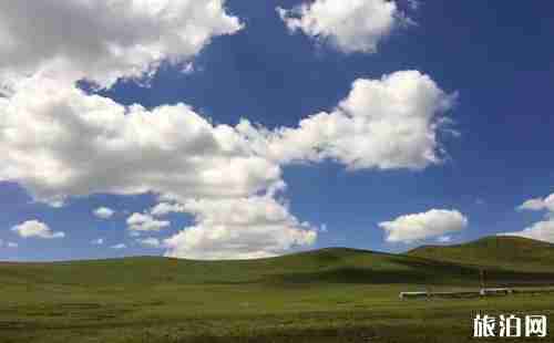 若爾蓋有哪些景點 若爾蓋景點介紹 若爾蓋有哪些景點 若爾蓋景點介紹