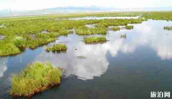若爾蓋有哪些景點 若爾蓋景點介紹 若爾蓋有哪些景點 若爾蓋景點介紹