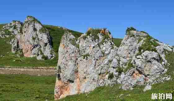 若爾蓋有哪些景點 若爾蓋景點介紹 若爾蓋有哪些景點 若爾蓋景點介紹