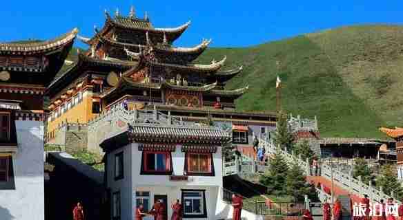 若爾蓋有哪些景點 若爾蓋景點介紹 若爾蓋有哪些景點 若爾蓋景點介紹