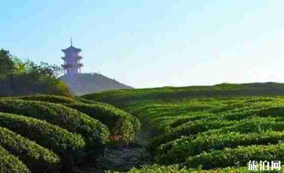 雅安避暑地方推薦2018