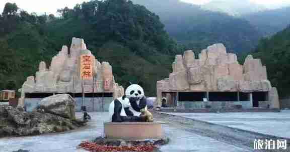 雅安避暑地方推薦2018