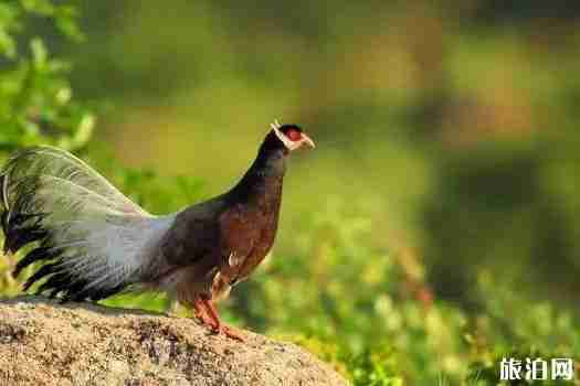 山西黃河景點有哪些 黃河景點介紹 山西黃河景點有哪些 黃河景點介紹
